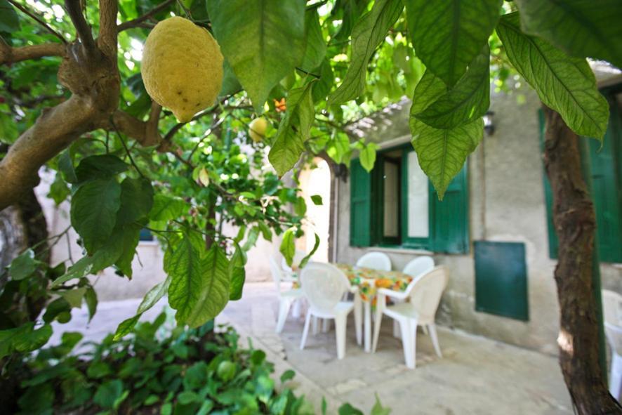 Leo Appartamenti Con Vista Panoramica Erice Exteriér fotografie